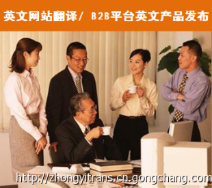 B2B Business Website English Product Translation/Publication Services - Zhongyi Professional Translation Company